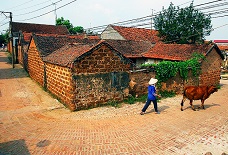 Duong Lam village Tour