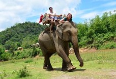 Halfday Elephant Riding Tour