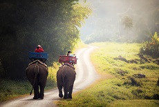 Laos Classic 9Days/8Nights Package