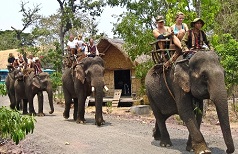 ELEPHANT RIDING TOUR